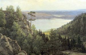 Vik Bland Bergen Vik Bland Bergen