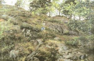 Barplockare Pa Skogskulle by Berndt Adolf Lindholm