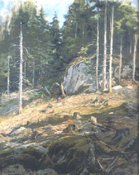 Skogssluttning - view 1