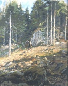 Skogssluttning Skogssluttning
