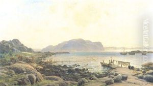 Strandliv