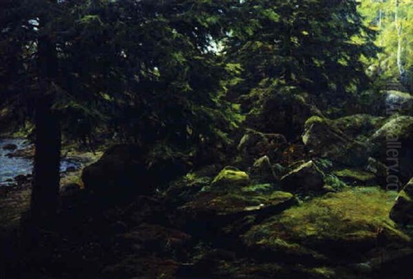 Skogsinterior - view 1
