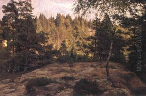 H"jd I Skogen, Helsj"n H"jd I Skogen, Helsj"n