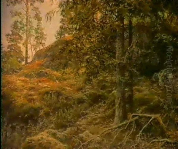 Skogsinterior - view 1