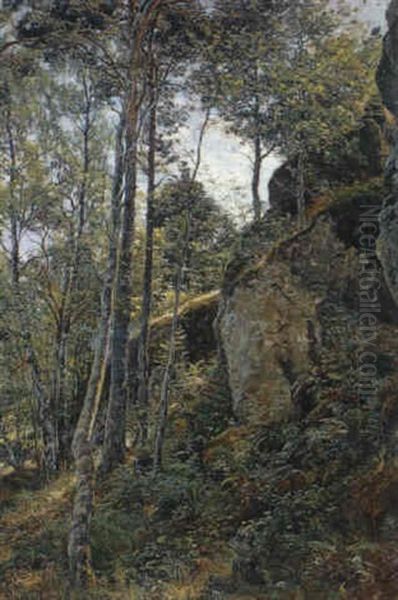 Skogsinterior - view 1