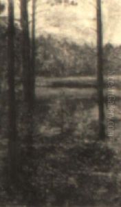 Forest Forest