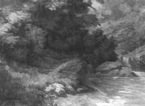 Bewaldetes Bachufer