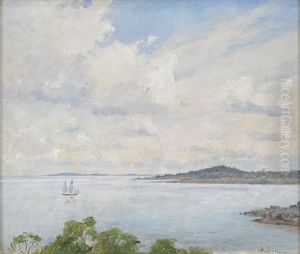 Kustmotiv Fran Gavle Fjarden