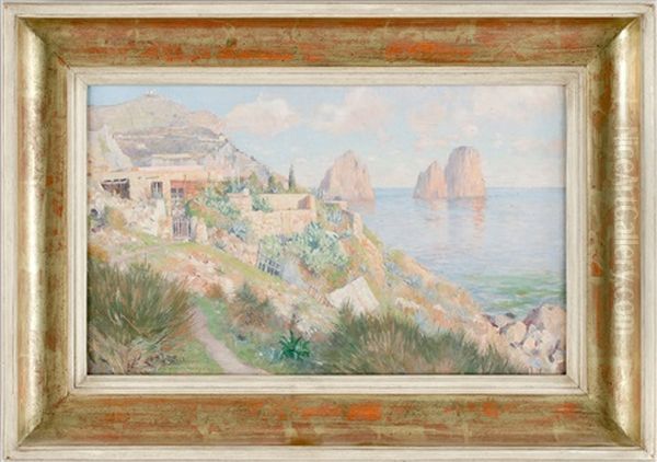 Kustvy Fran Capri - view 1