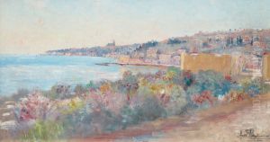 Vy Over Nice, Frankrike