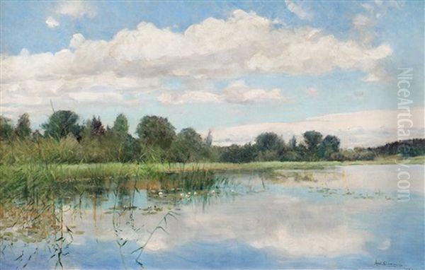 Insjolandskap - view 1