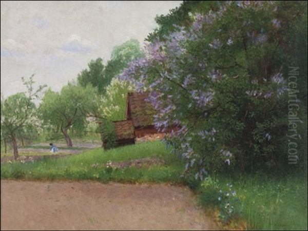 Syreenit Kukkivat (blossoming Lilacs) - view 1