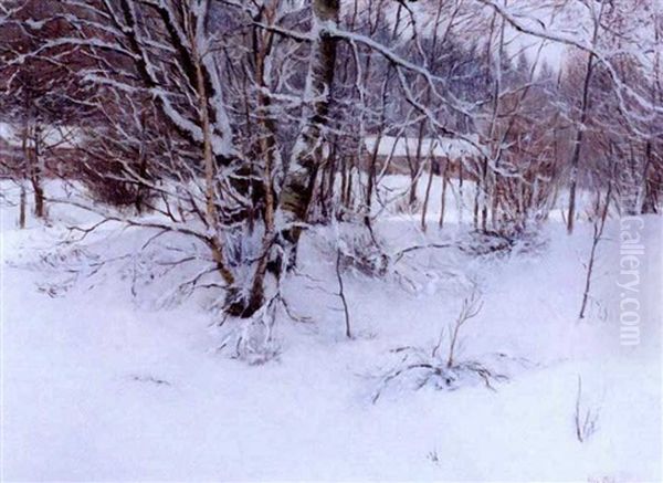Ensilumi (the First Snow) - view 1