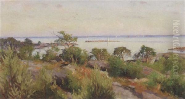Skargardslandskap - view 1
