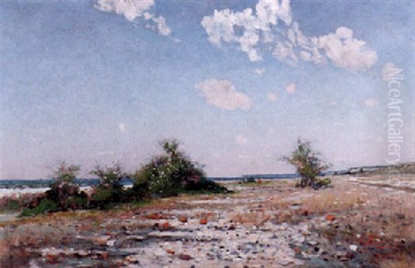 Strandlandskap, Visby - view 1