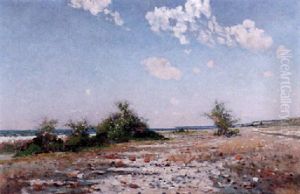 Strandlandskap, Visby