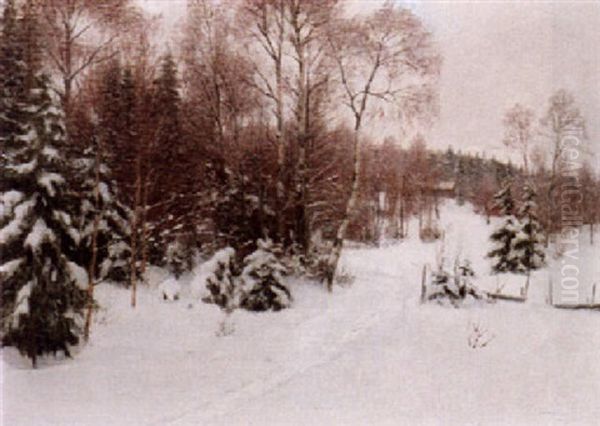 Svenskt Skogslandskap I Vinterskrud - view 1