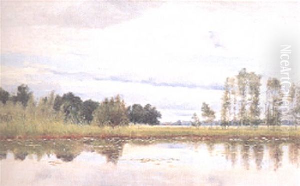 Insjolandskap - view 1