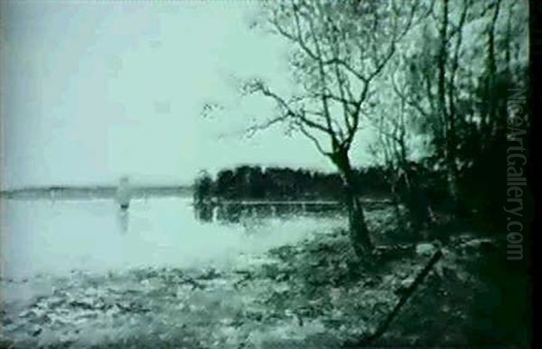 Insjolandskap - view 1