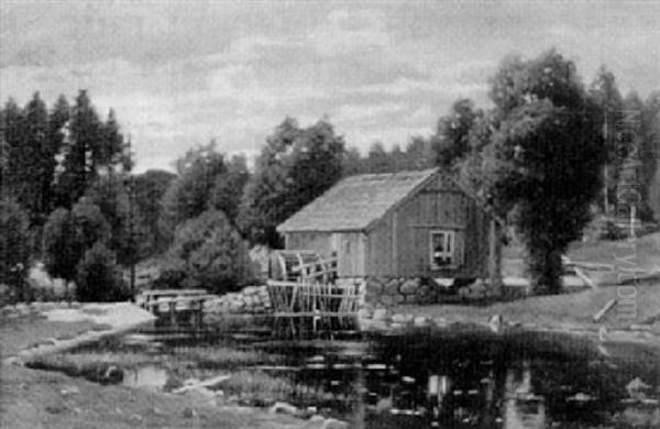 Skogigt Landskap Med Kvarndamm - view 1
