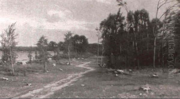 Betande Kor Vid Sjo - view 1
