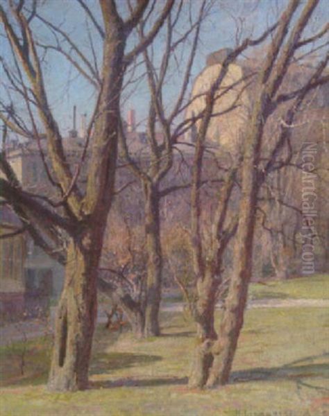 Trad I Varsol - view 1