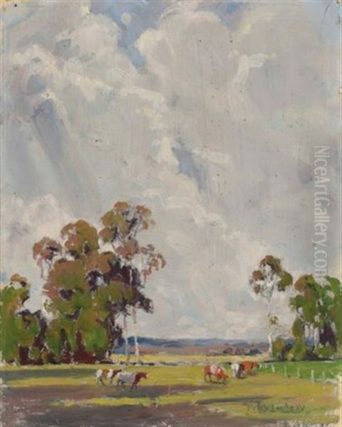 About Campbelltown, Nsw - view 1