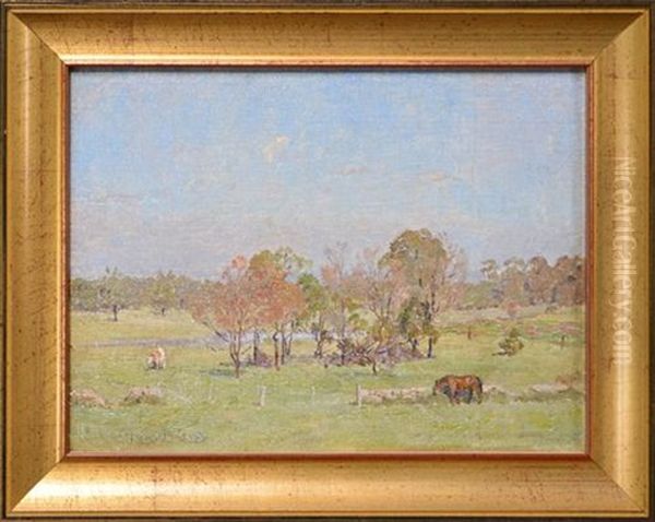 Bush Summer - view 1