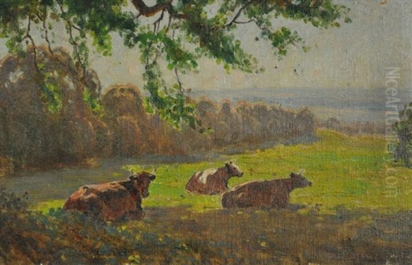 Cows Resting - view 1