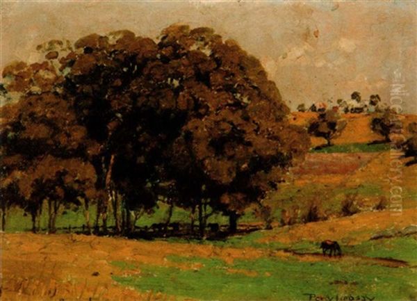 Landscape With Trees - view 1