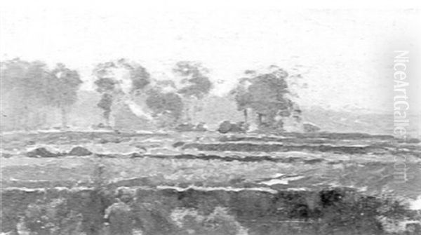 Farm Landscape - view 1