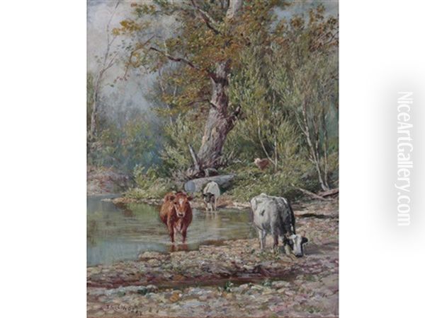 Cows In Summer - view 1