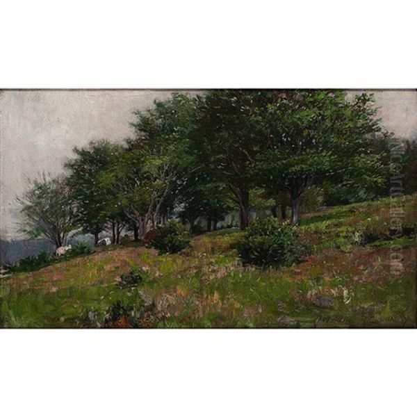 Meadow Scene - view 1