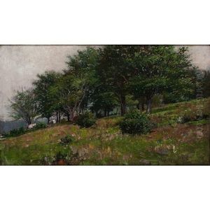Meadow Scene Meadow Scene