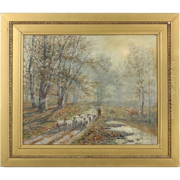 Sheep - view 1