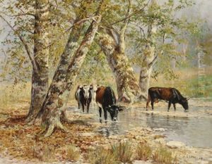 Pool By The Sycamores