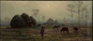 Cows In The Field At Dawn Cows In The Field At Dawn