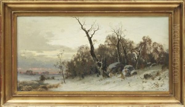 Vinterlandskap - view 1