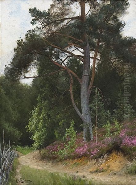 Skogsparti Med Gardesgard Och Vandringsstig - view 1