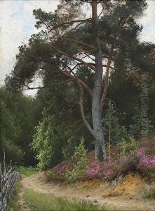 Skogsparti Med Gardesgard Och Vandringsstig by Arvid Mauritz Lindstroem