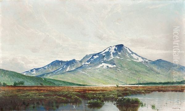 Snasahogarna - view 1