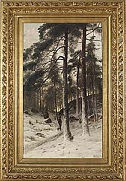 Jagare I Vinterskog - view 1