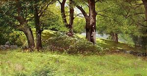 Parklandskap Parklandskap