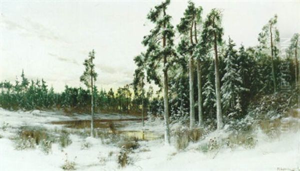 Vinterlandskap - view 1