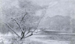 Winterlandschaft Bei Sonnenaufgang