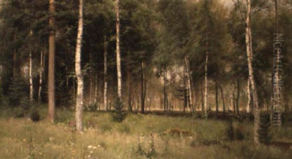 Bjorkskog - view 1