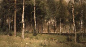 Bjorkskog Bjorkskog