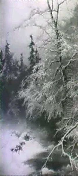 Sunset Over Winter Forest - view 1