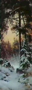 Skogsglanta I Sno Skogsglanta I Sno