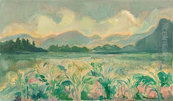Maisfeld Bei Ruti - view 1